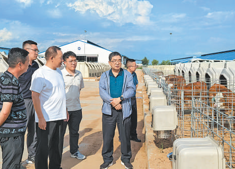 1772056211355086.png image.png